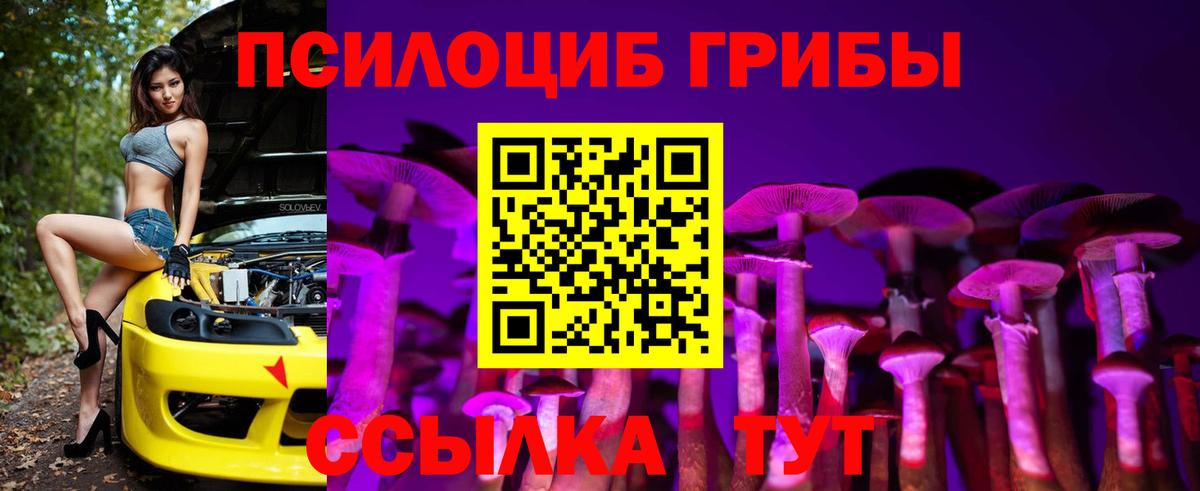 где купить наркотик  Псилоцибиновые грибы мицелий  Галлюциногенные грибы прущие грибы  Вход с VPN  Бирск 